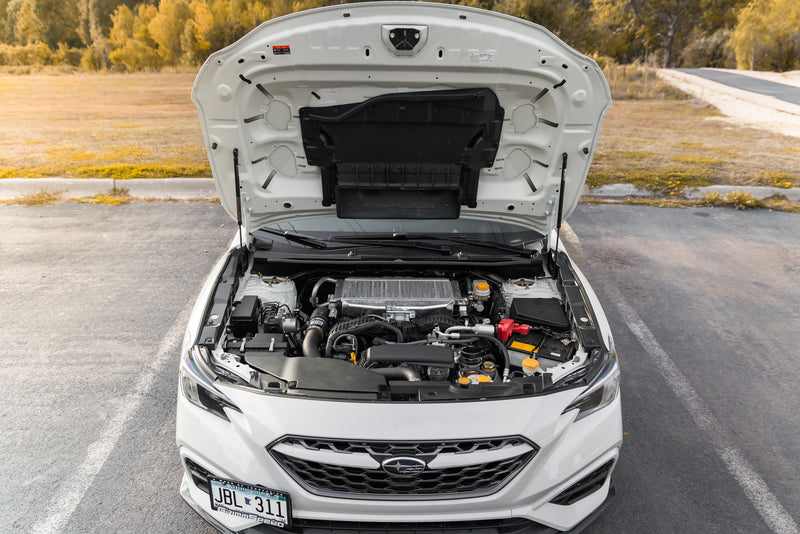 GrimmSpeed High Lift Hood Struts 2015+ WRX / 2015-2021 STI