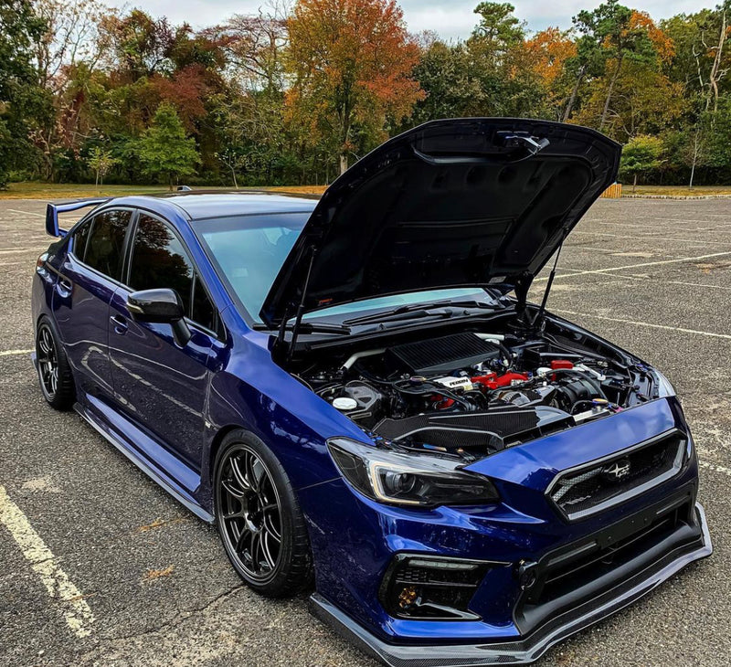 MSP Carbon Fiber Front Grille 2018-2021 WRX/STI